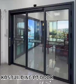 kdsbuilding PT Door